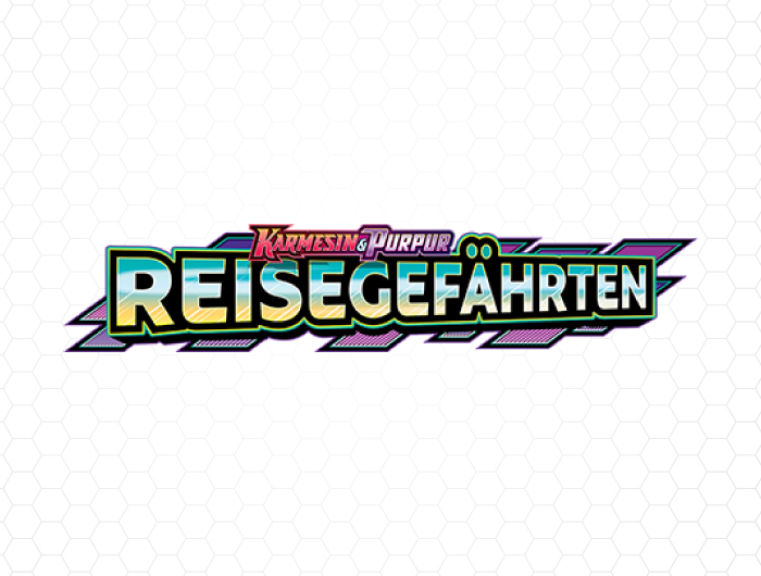 Pokemon Karten Displays