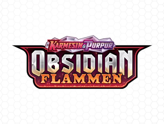 Pokemon Karten Displays