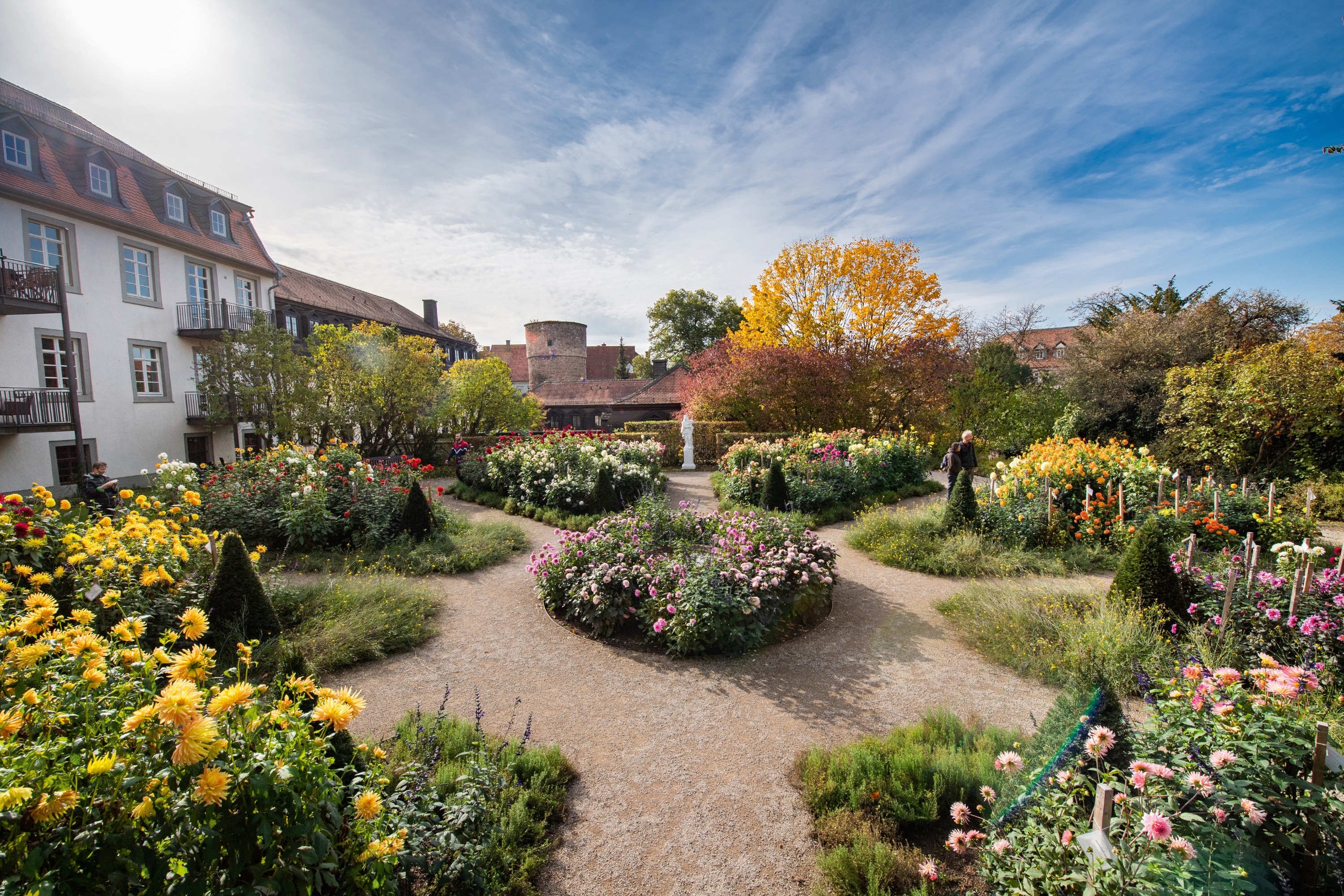 Historischer Klostergarten mit blühenden Dahlienbeeten, symmetrischen Kieswegen und herbstlich gefärbten Bäumen vor alten Gebäuden unter blauem Himmel.