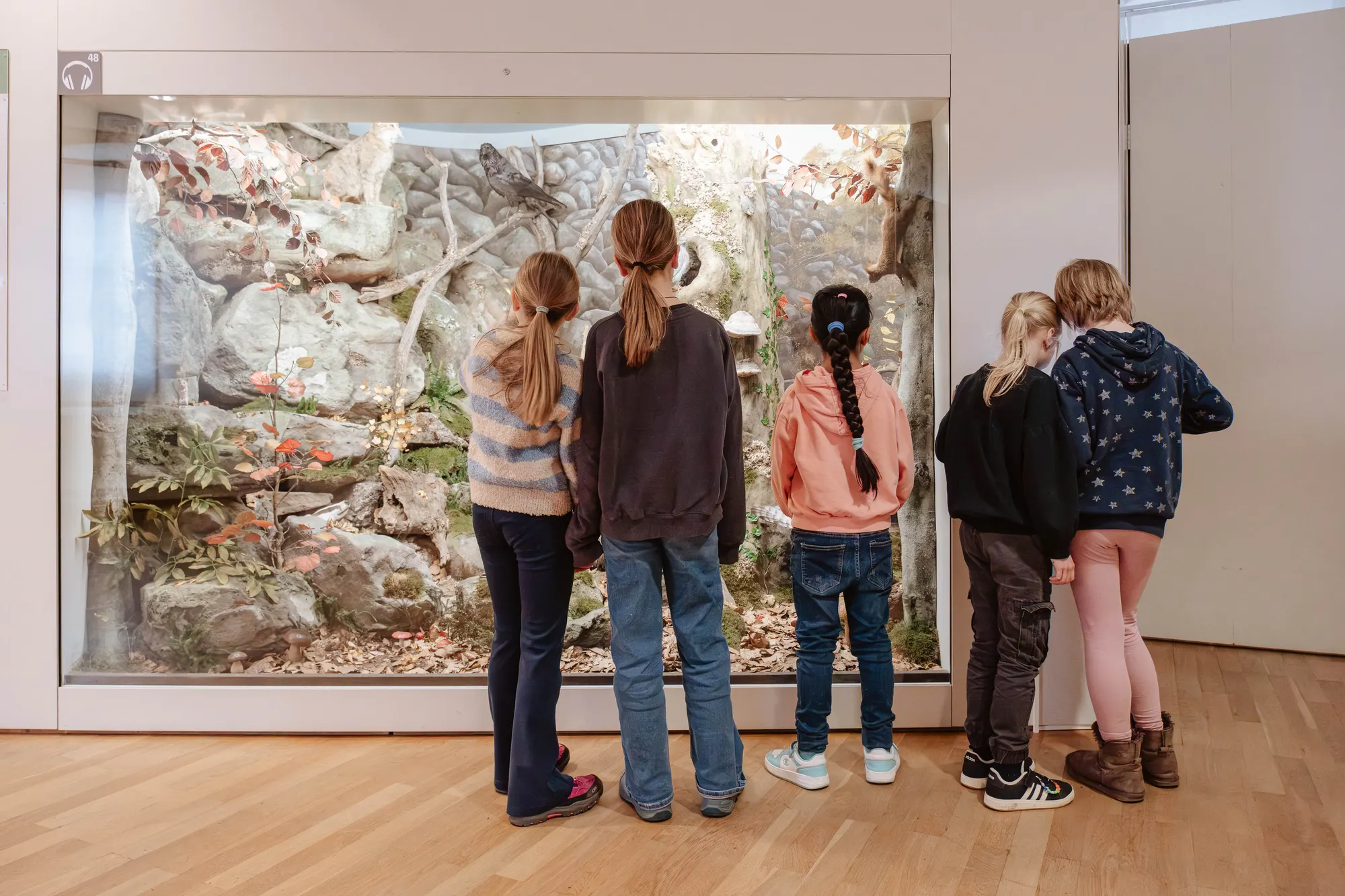 Fünf Kinder stehen im Vonderau Museum Fulda vor einem beleuchteten Diorama mit heimischen Tieren in einer herbstlichen Felsenlandschaft