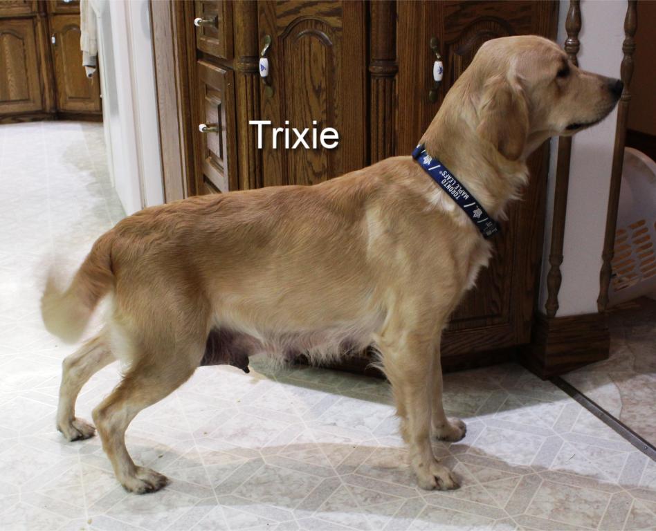 Trixie
