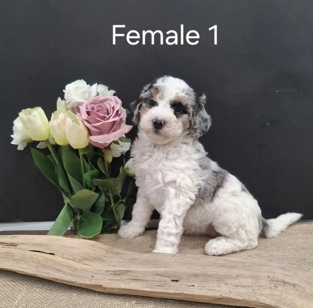 Female 1