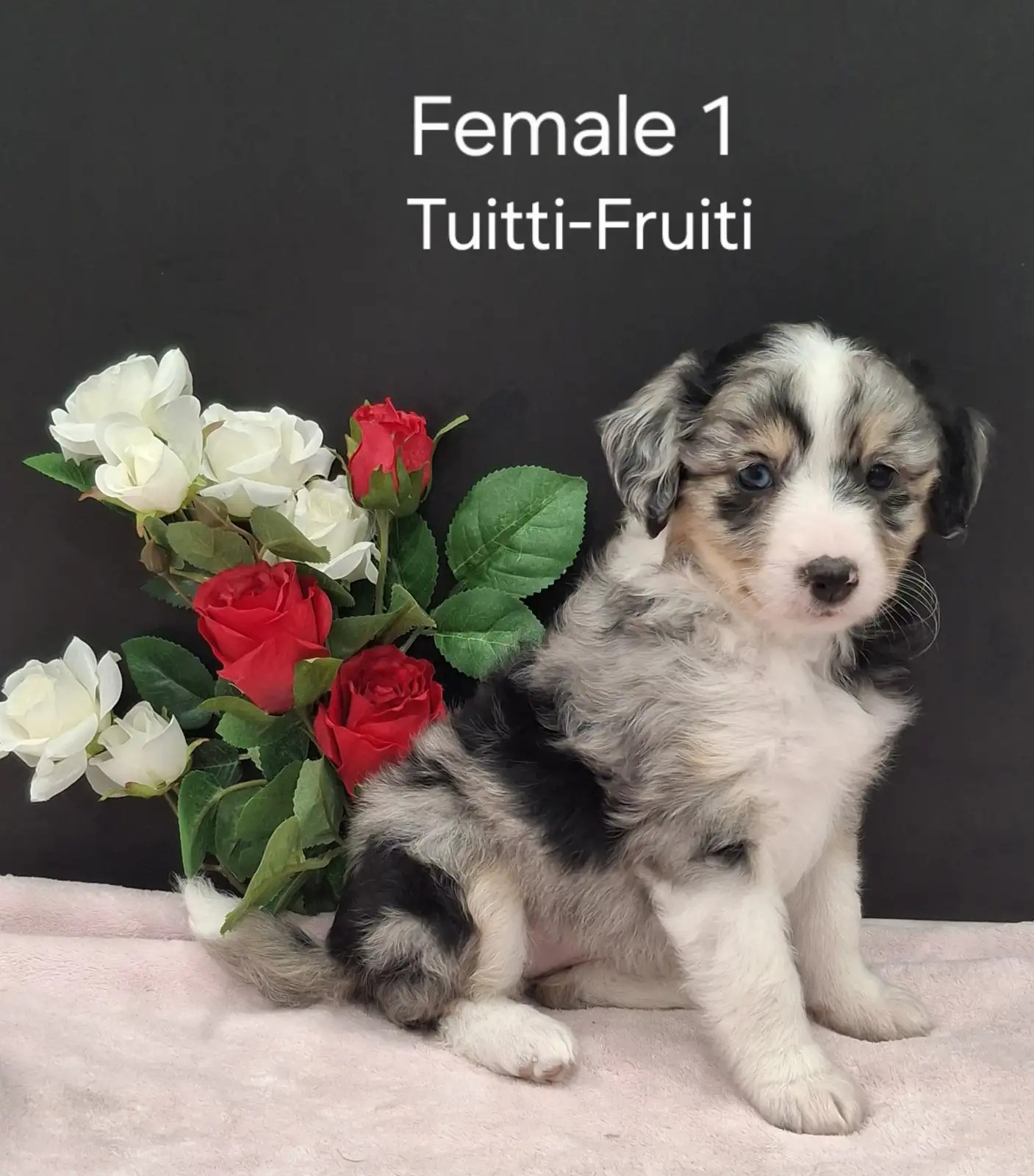 Tutti-Frutti