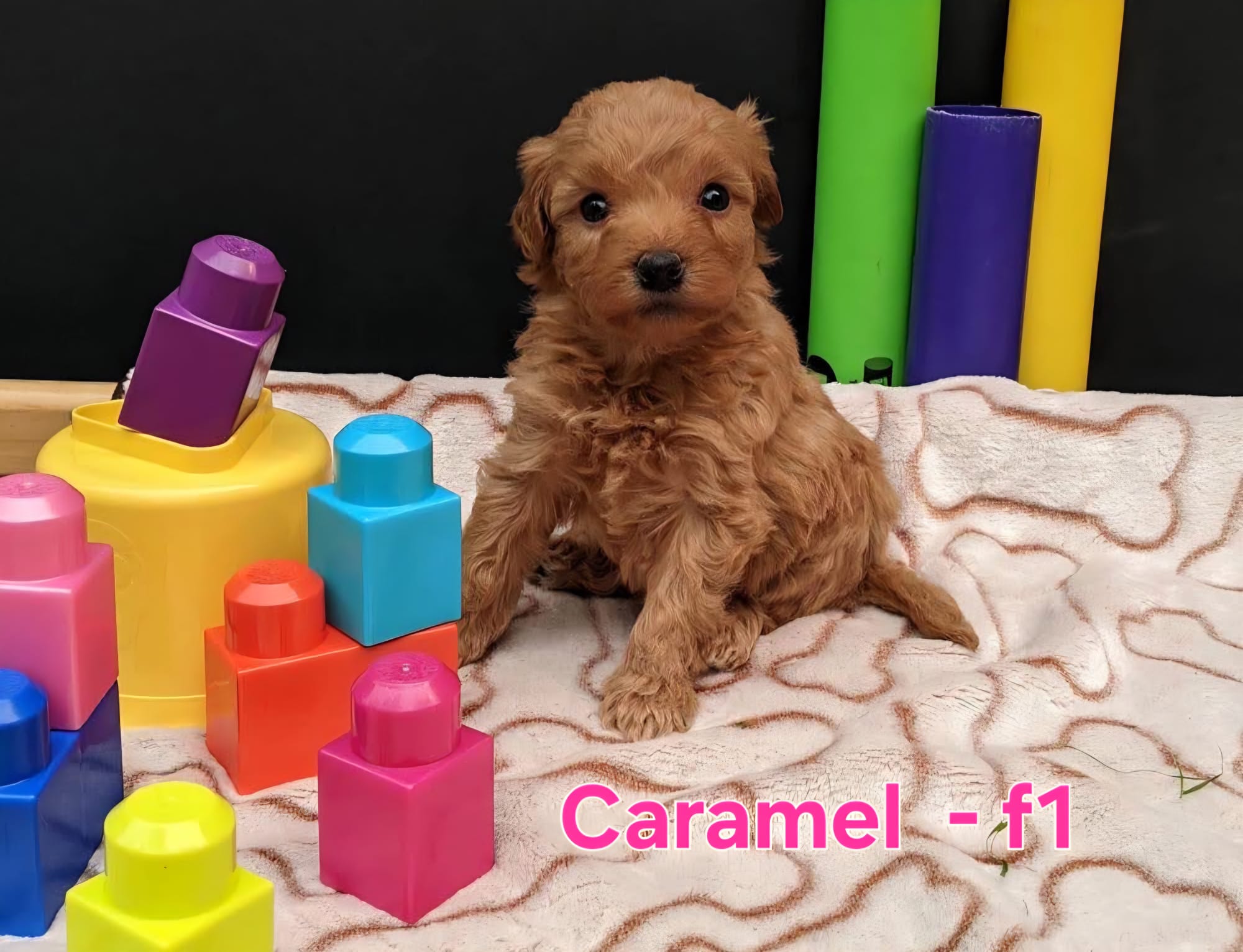 Caramel