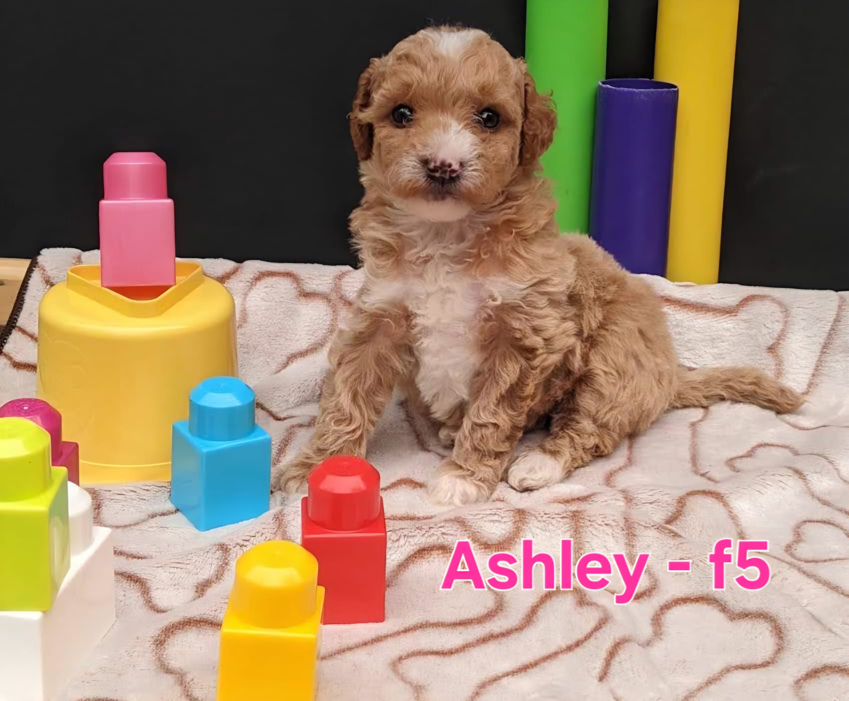 Ashley