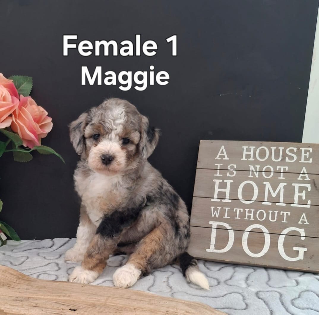 Maggie