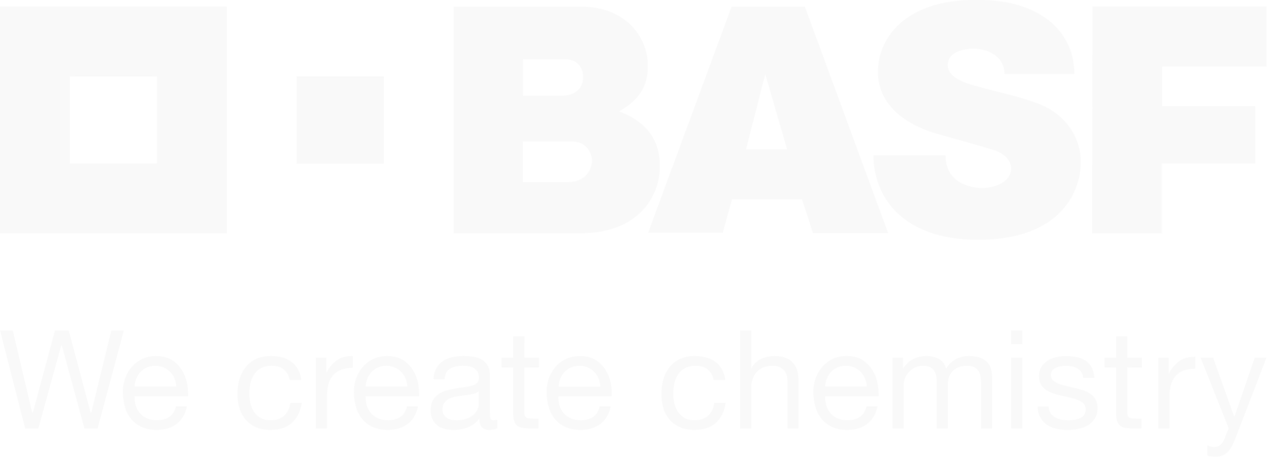 BASF Wohnen + Bauen Logo – Schriftzug ‚BASF Wohnen + Bauen‘ in seriösem, professionellen Design