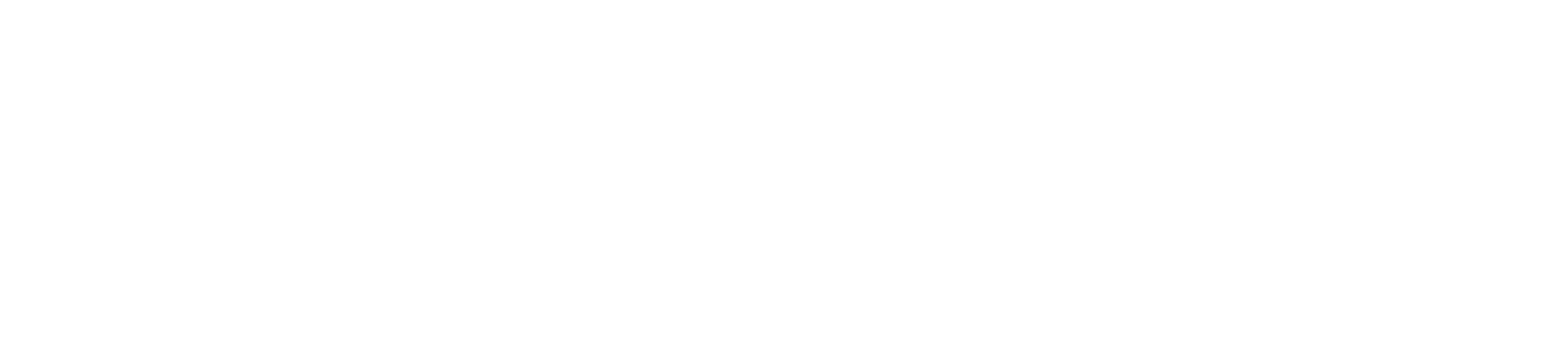 F & T Services (Finance & Treasury Services GmbH) Logo – klarer Schriftzug in professionellem Design