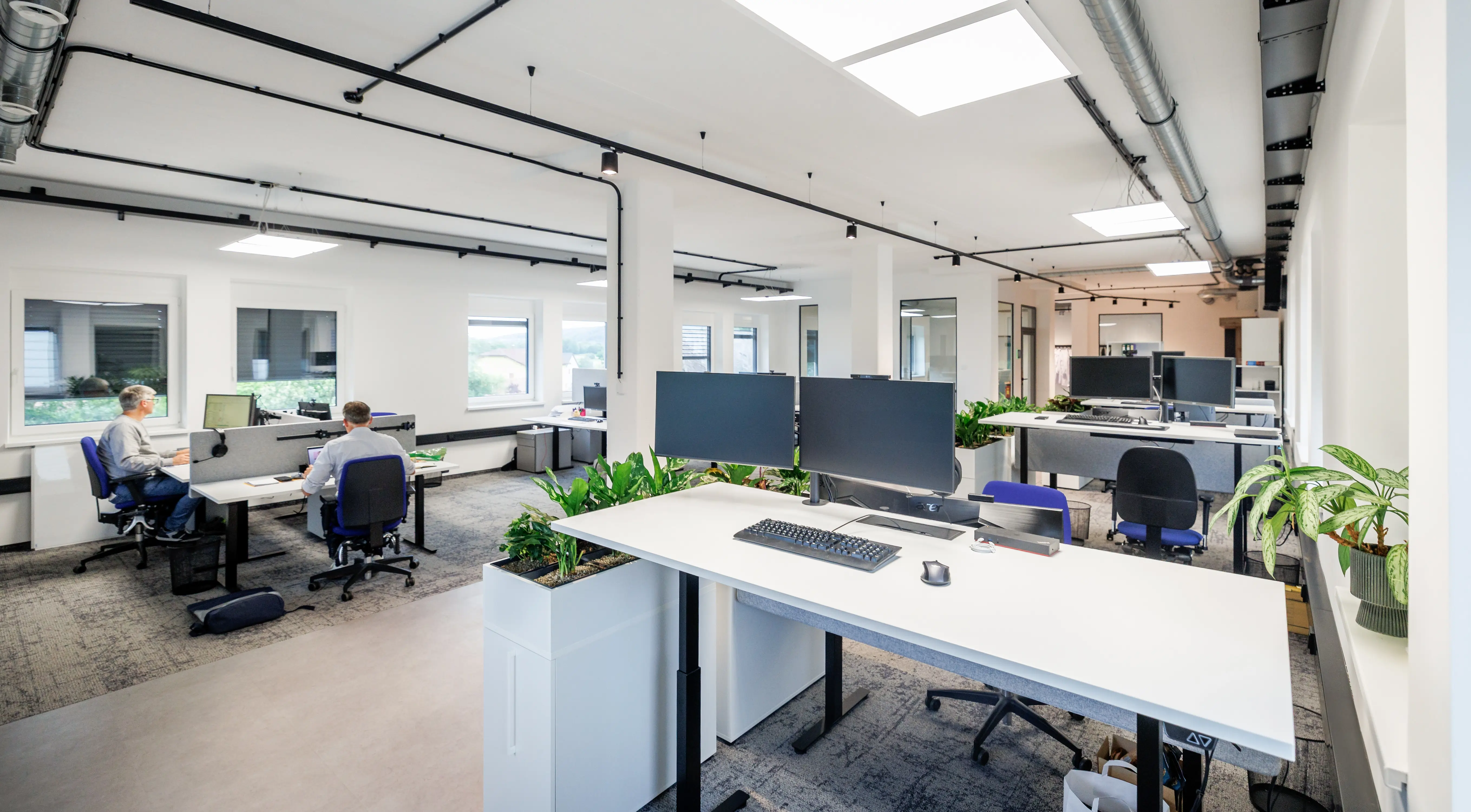 Ein helles, hochmodernes Open-Area-Büro von ROOMHERO. Zu sehen sind mehrere ergonomische Arbeitsplätze mit weißen, höhenverstellbaren Schreibtischen, Doppelmonitoren und grauen Akustik-Trennwänden. In die Schreibtischreihen integrierte weiße Pflanzkübel mit grünen Zimmerpflanzen sorgen für ein biophiles Design. Die Decke zeigt moderne industrielle Details mit sichtbaren schwarzen Kabeltrassen und quadratischen LED-Panels auf weißem Grund.