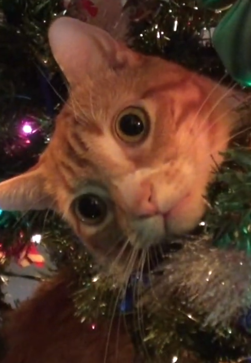 Digital Marketing and Staying Relevant