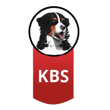 KBS Logo