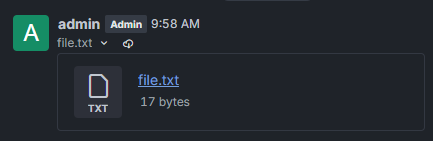 A Rocket.Chat message from the admin user with an uploaded file, file.txt, shown as a 17-byte TXT attachment.