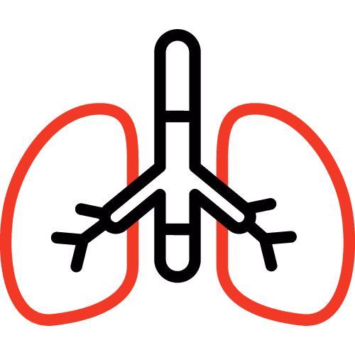 Pulmonologist Icon
