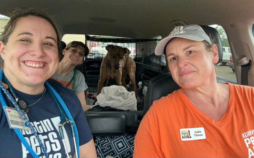 Dog named Superman rescued by Austin animal shelter from pile of debris during catastrophic flooding 