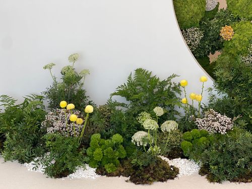 Royal baby reception