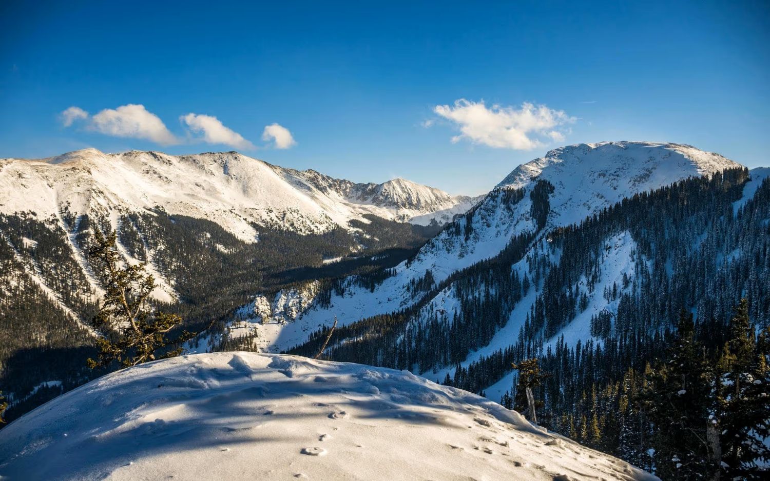 Mountain with snow and trees