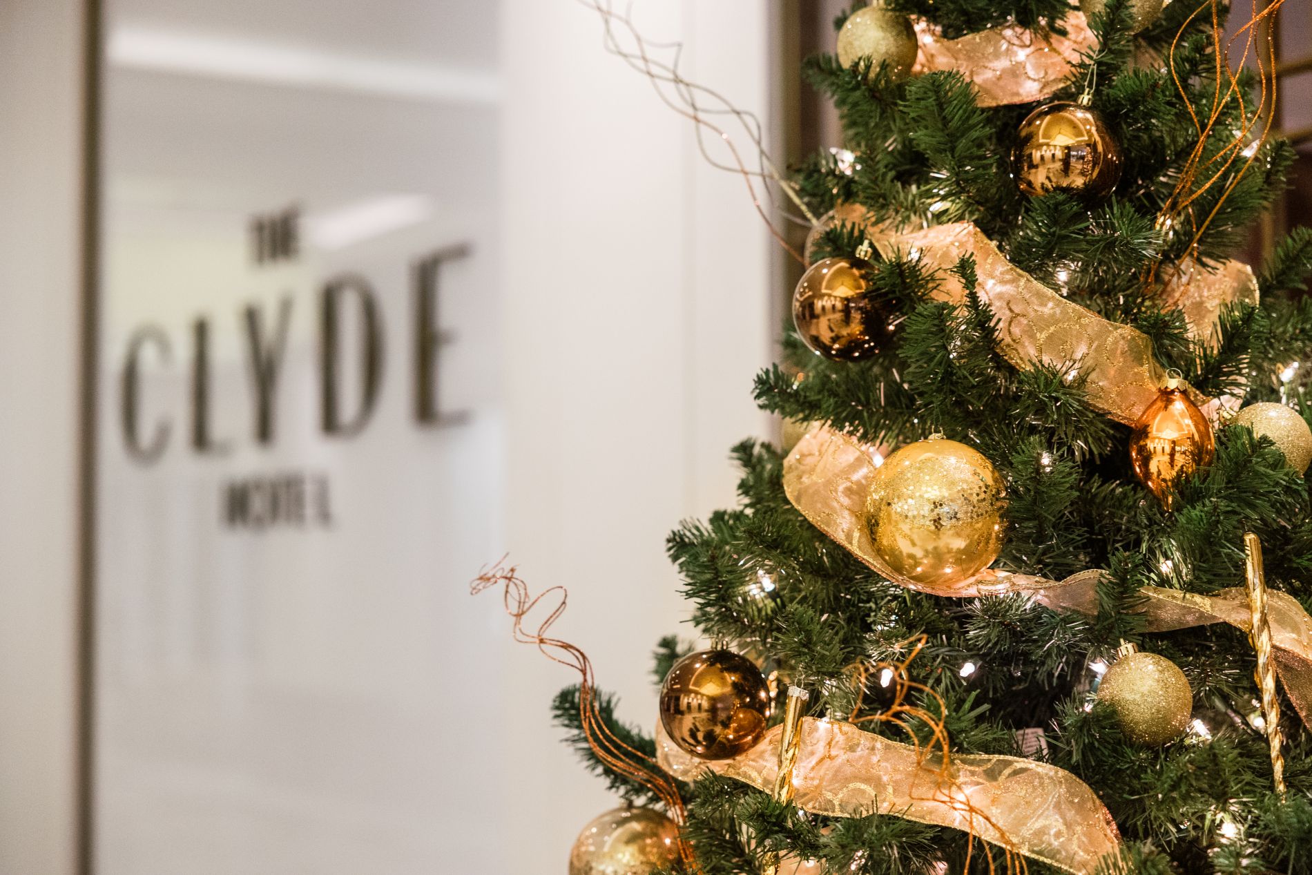 Image of The Clyde Hotel logo on a white wall with a decorated Christmas tree in view with gold decorations