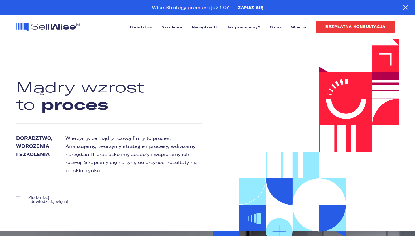 Sellwise homepage screenshot
