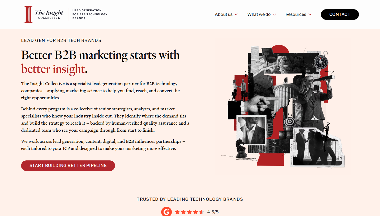 The Insight Collective homepage screenshot