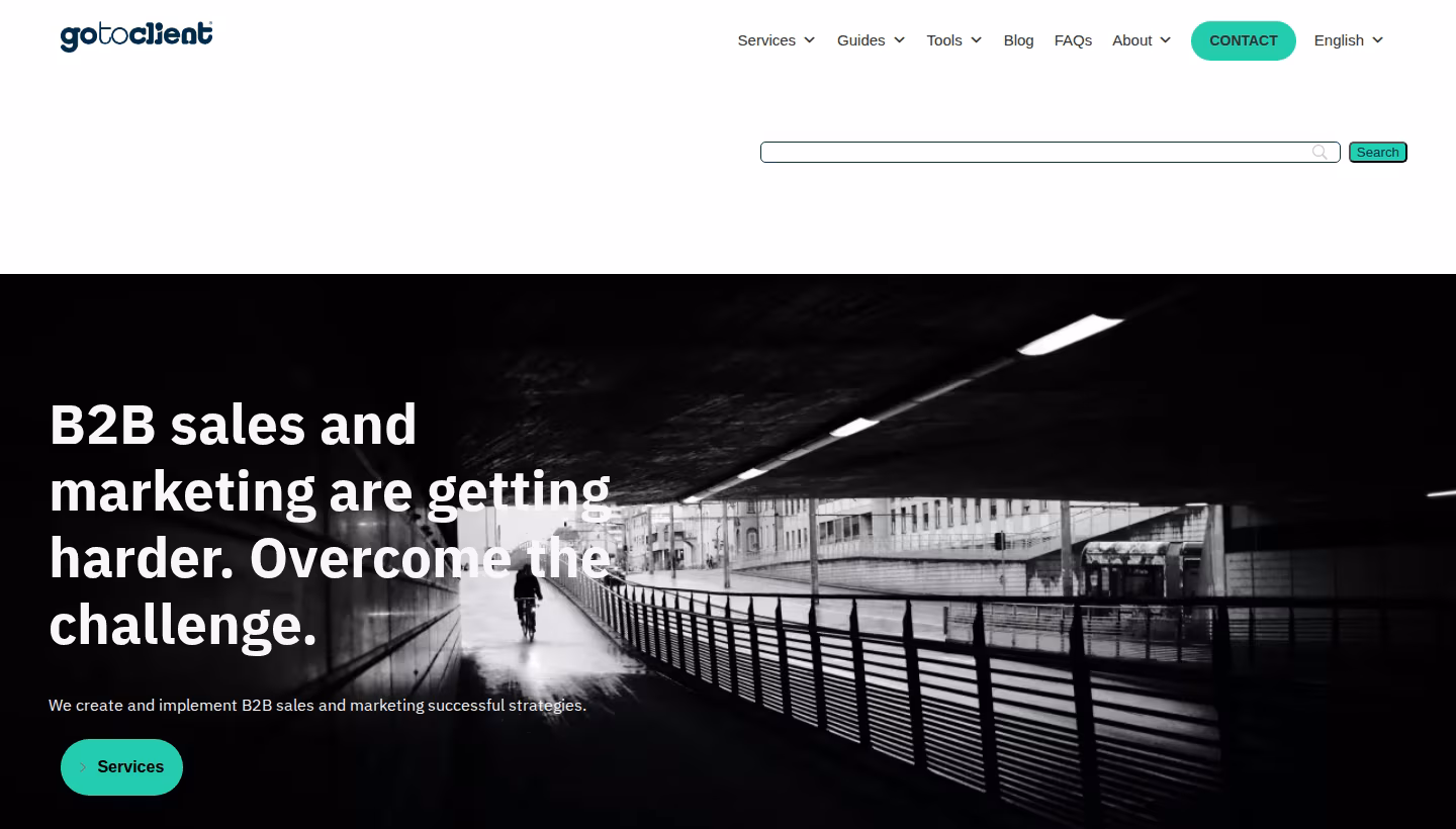 Gotoclient homepage screenshot