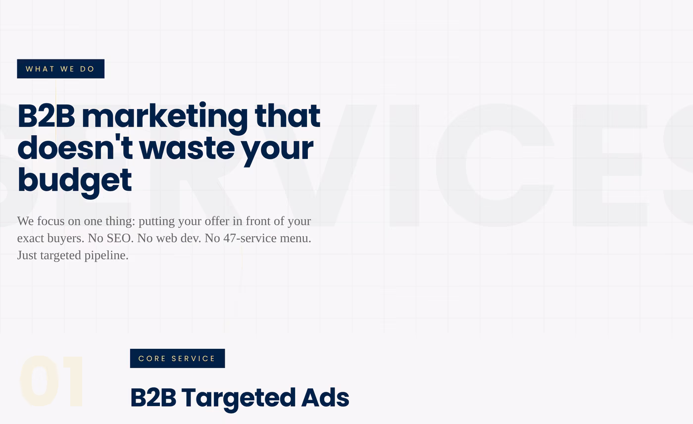 AMPLIS services page stating no SEO, no web dev, no 47-service menu, above the B2B Targeted Ads section