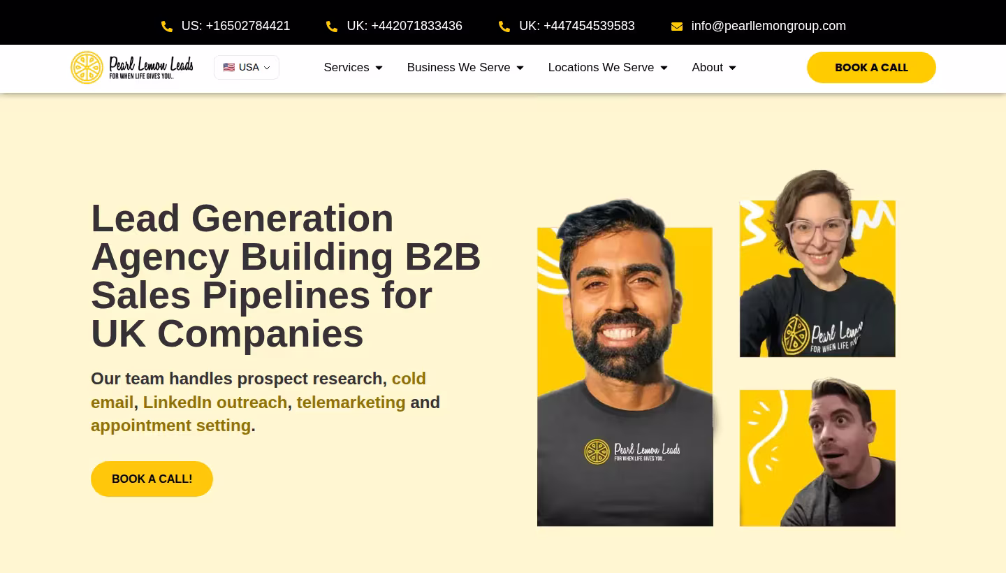 Pearl Lemon Leads homepage screenshot