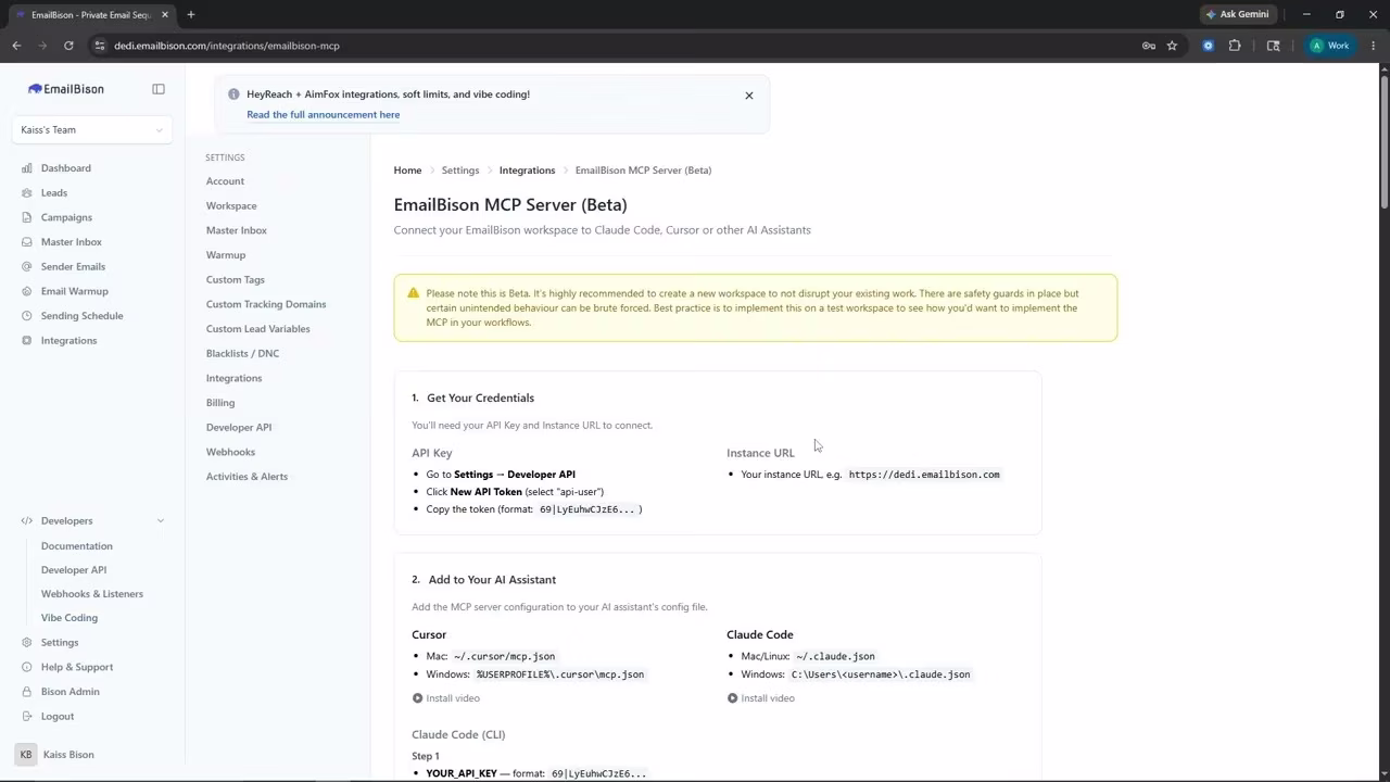 EmailBison app showing the MCP Server (Beta) settings page, with Campaigns, Master Inbox, Sender Emails, and Email Warmup in the sidebar