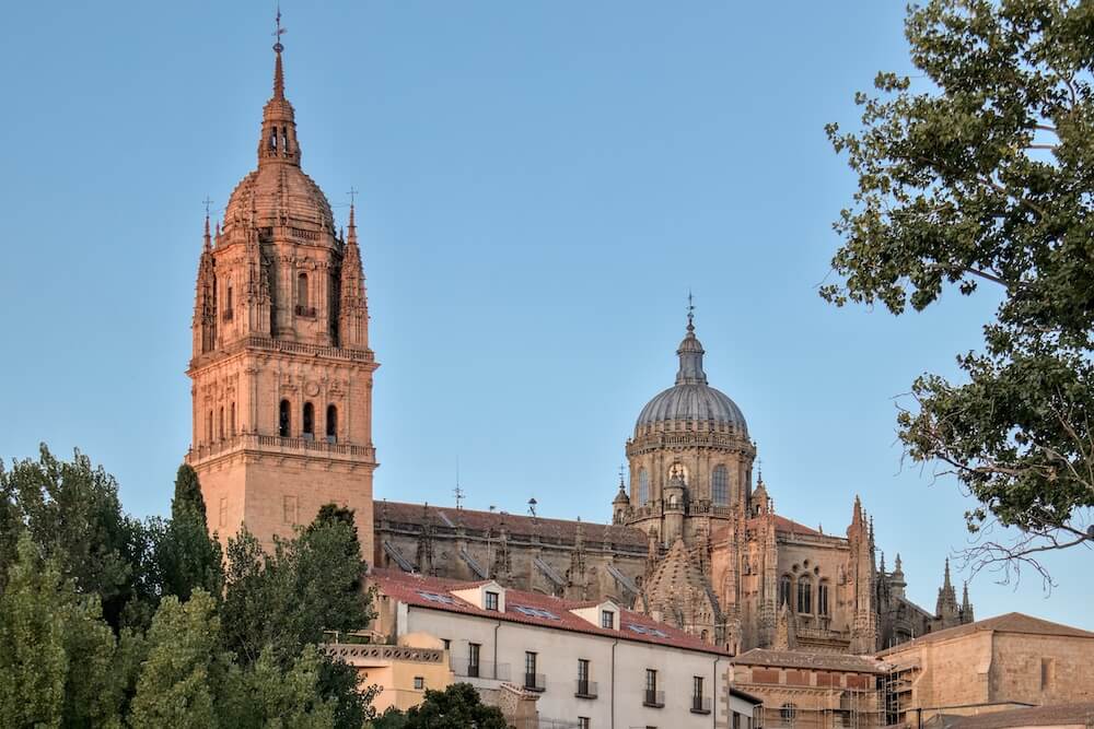 2 people from DailyDev posing