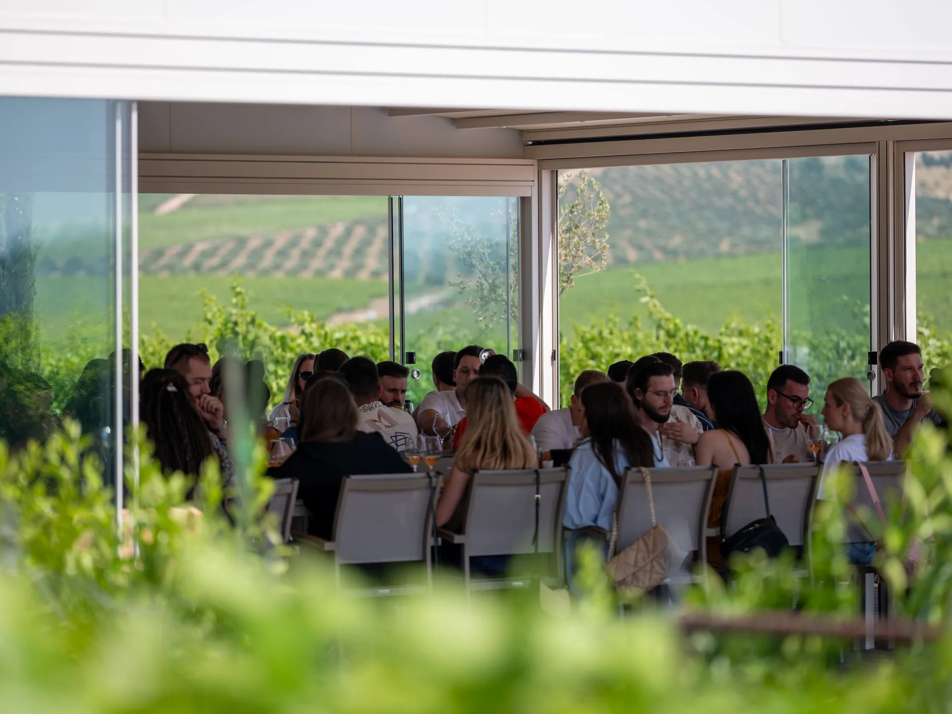 A long dinner overlooking the vineyards at a Croatian winery