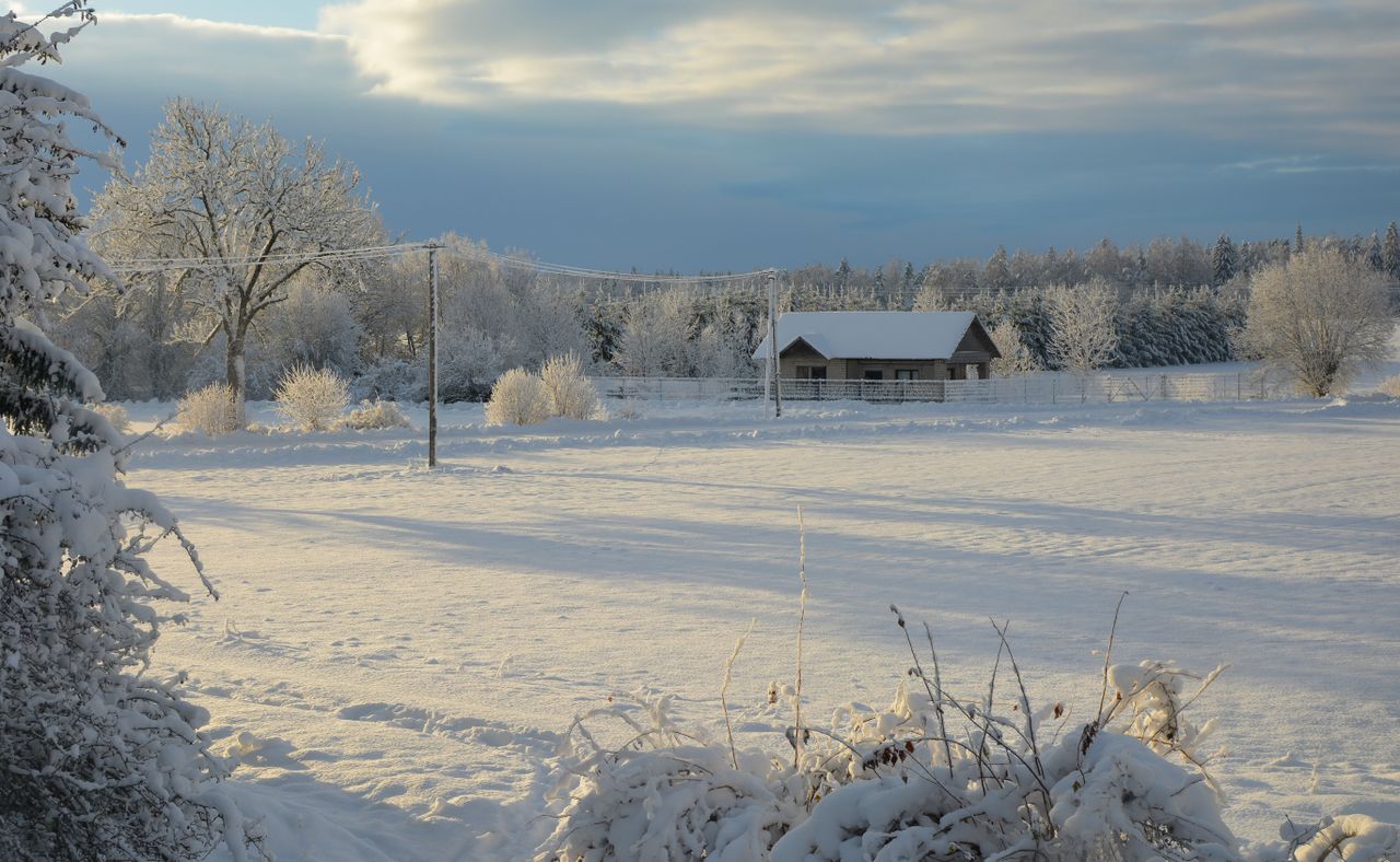 Winter Activities: Ice Skating, Snow Walks & Nordic Experiences Tallinn