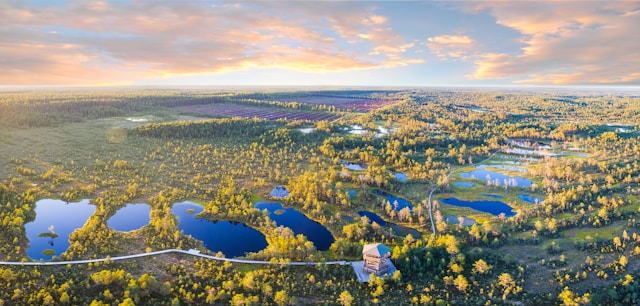 Bog Hiking in Estonia’s Wilderness
