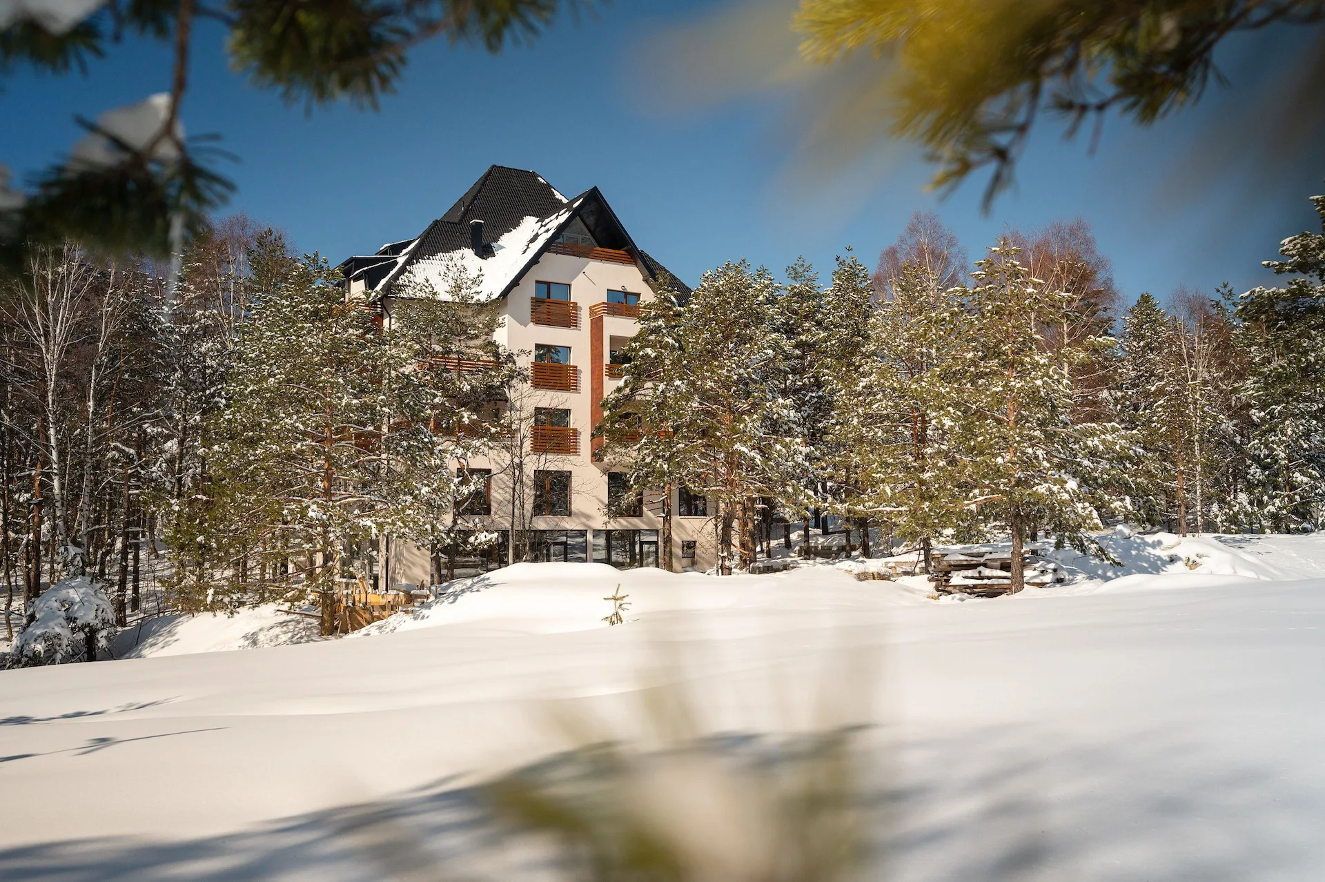 Maglian Forest Retreat photo 2