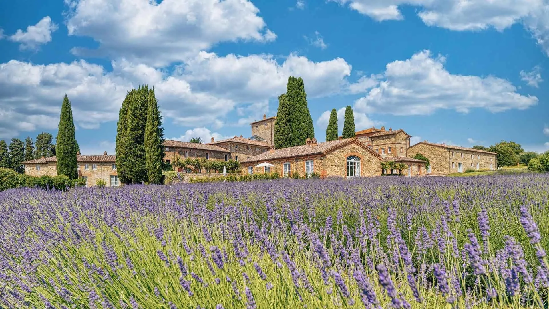 Borgo Scopeto Relais photo 3