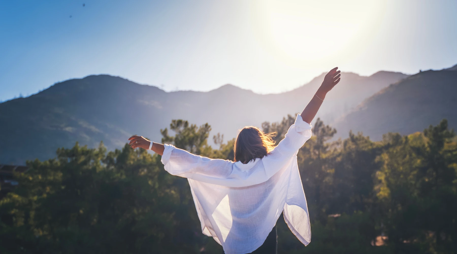 Mountain Regeneration 