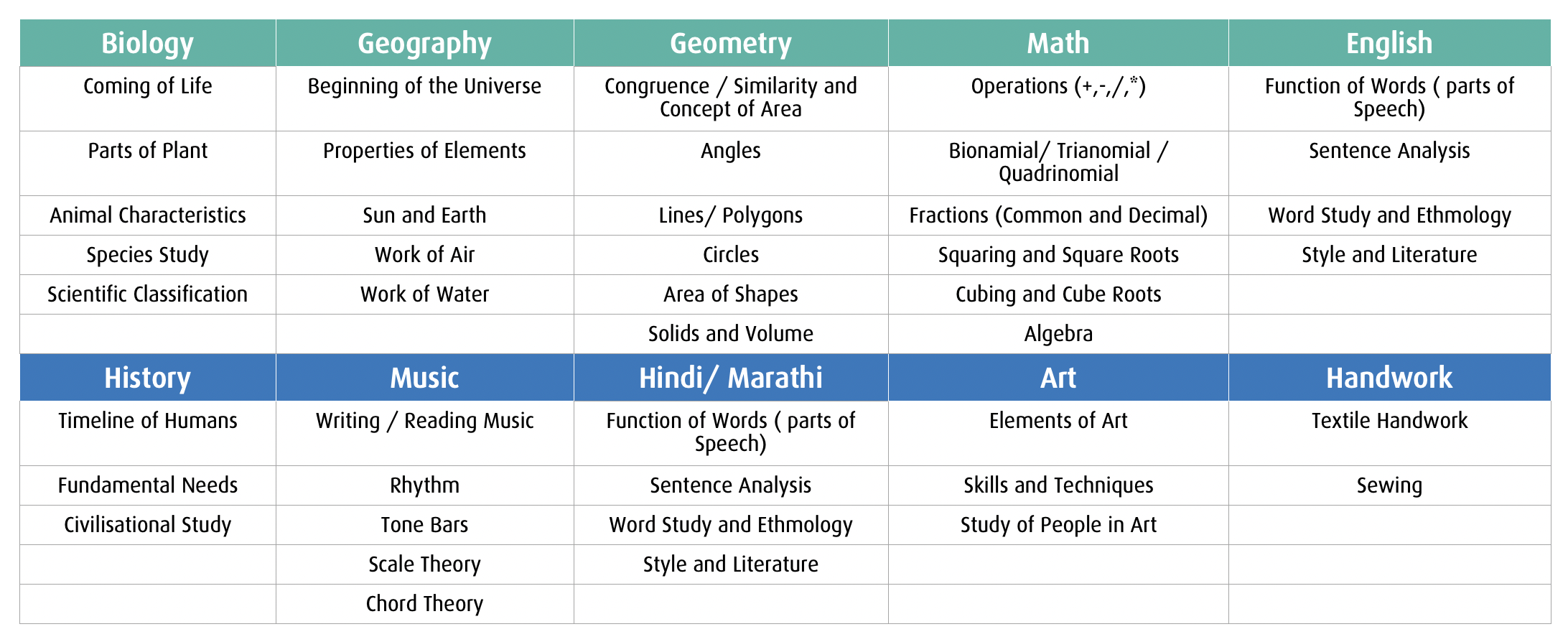 Savi Montessori's curriculum for Elementary children for ages 6 years to 12 years chart divided into columns for Biology, Geography, Geometry, Math, English, History, Music, Hindi/Marathi, Art, and Handwork with topics like Coming of Life and Parts of Plant for Biology; Beginning of the Universe and Work of Water for Geography; Congruence, Angles, Circles for Geometry; Operations, Fractions, Algebra for Math; Function of Words, Sentence Analysis for English; Timeline of Humans and Civilisational Study for History; Writing Music, Rhythm, Scale Theory for Music; Word Study and Literature for Hindi/Marathi; Elements and Techniques for Art; Textile Handwork and Sewing for Handwork.