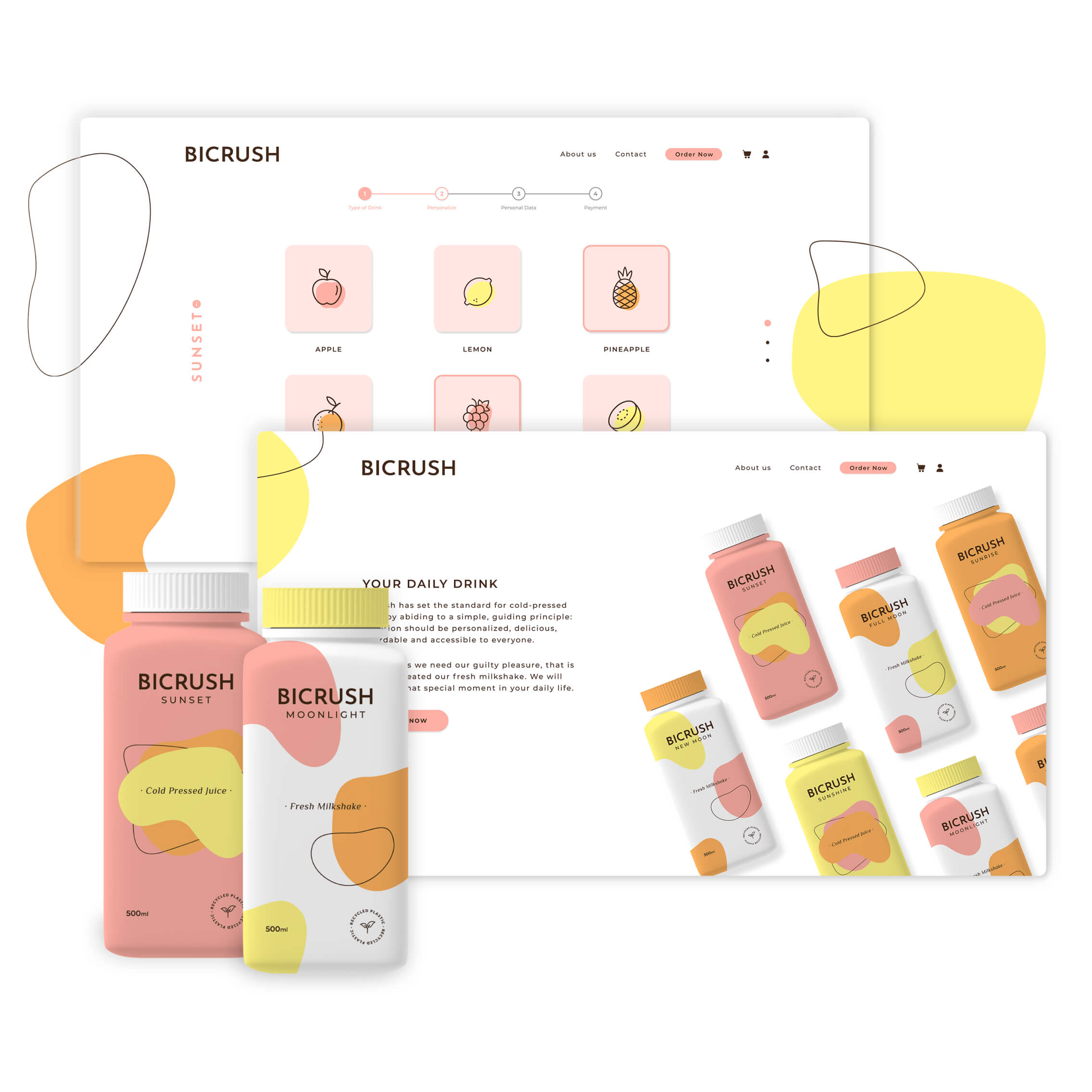 BICRUSH project cover