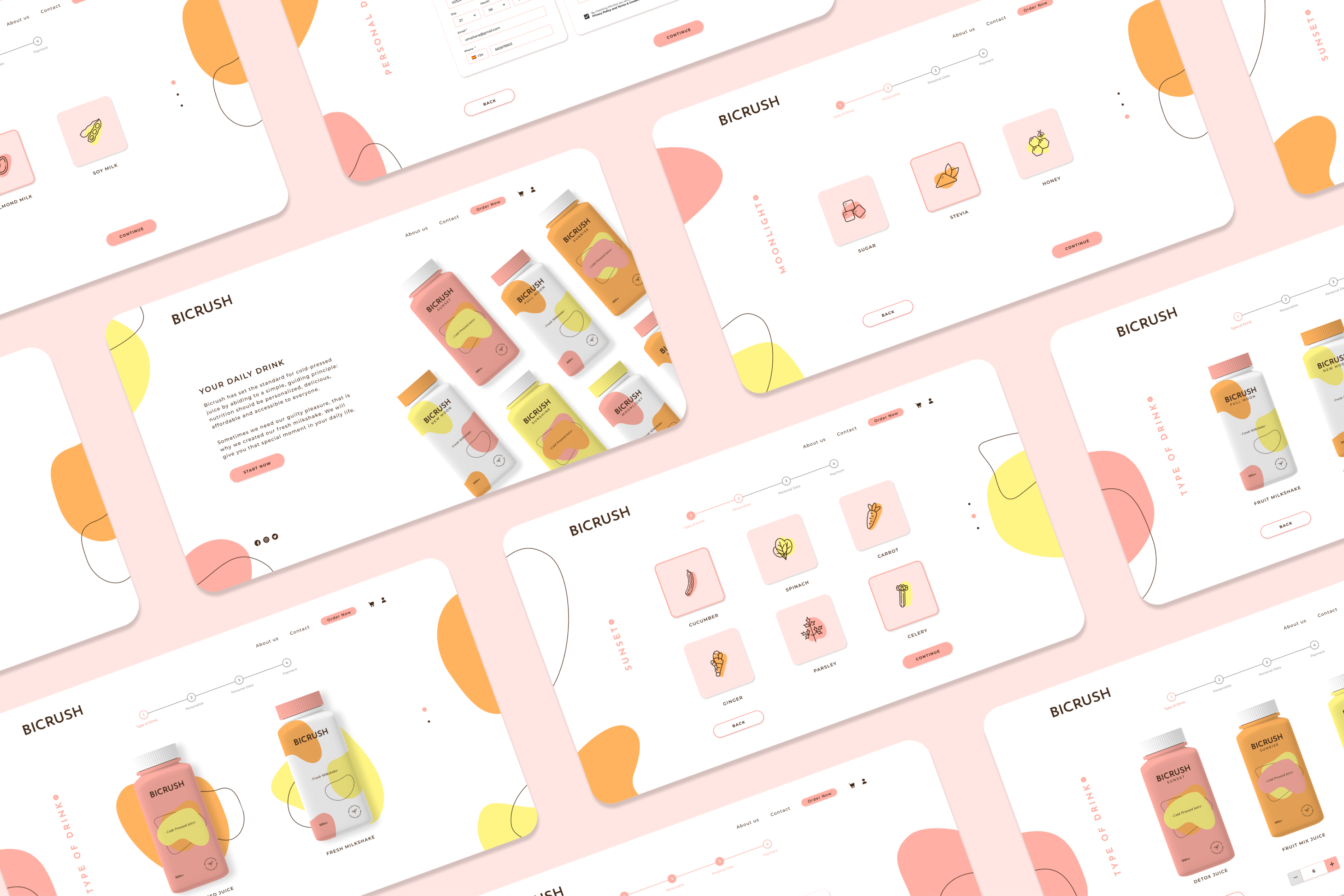 BICRUSH Project cover for the Homepage