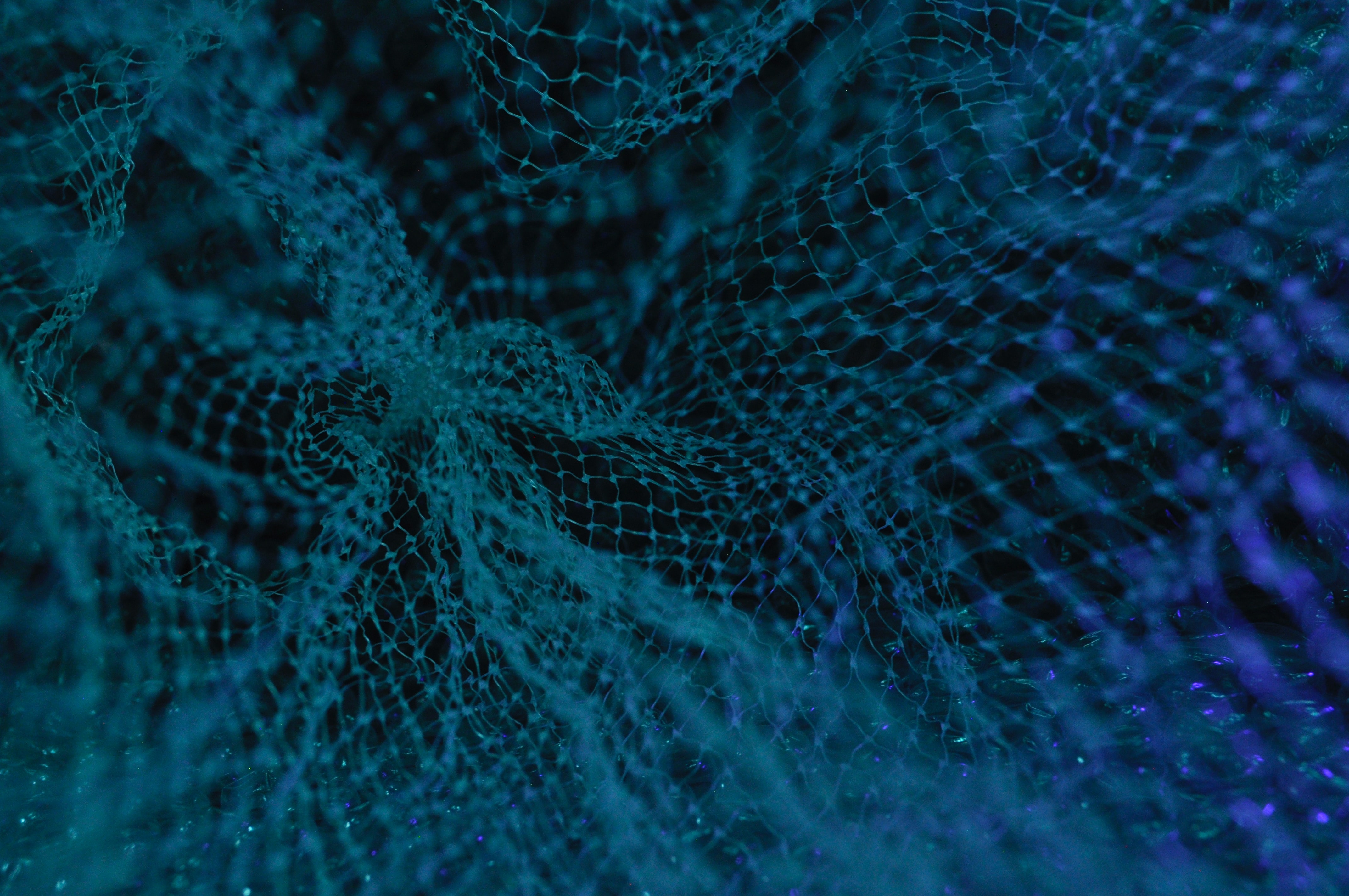 Network graphic
