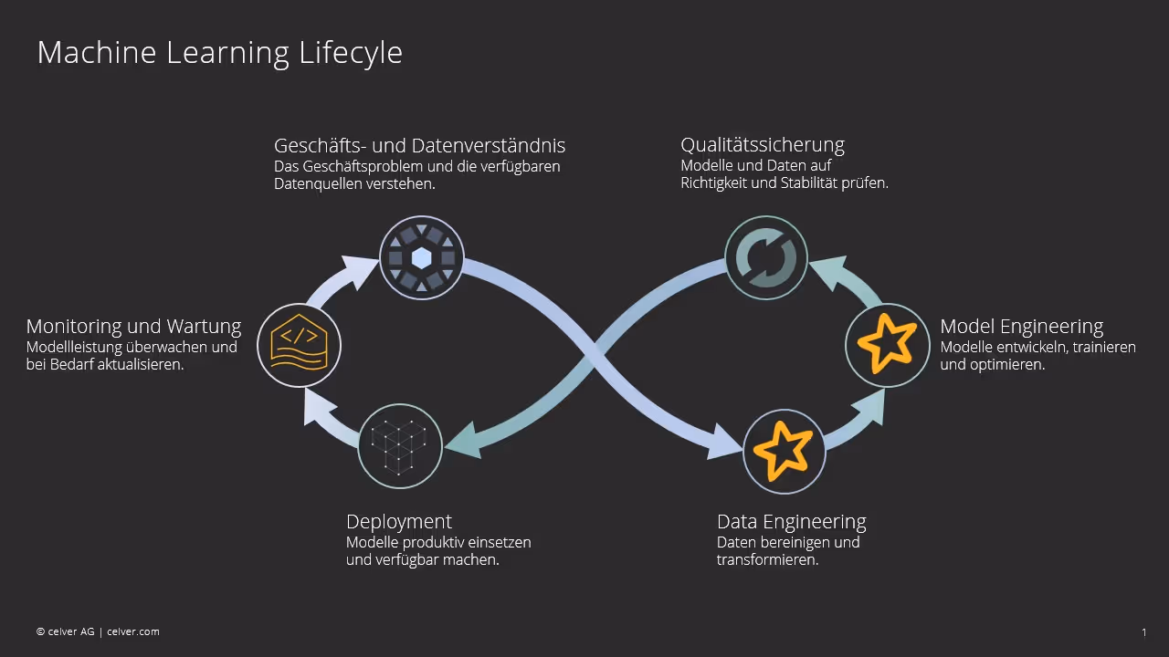Machine Learning Lifecycle