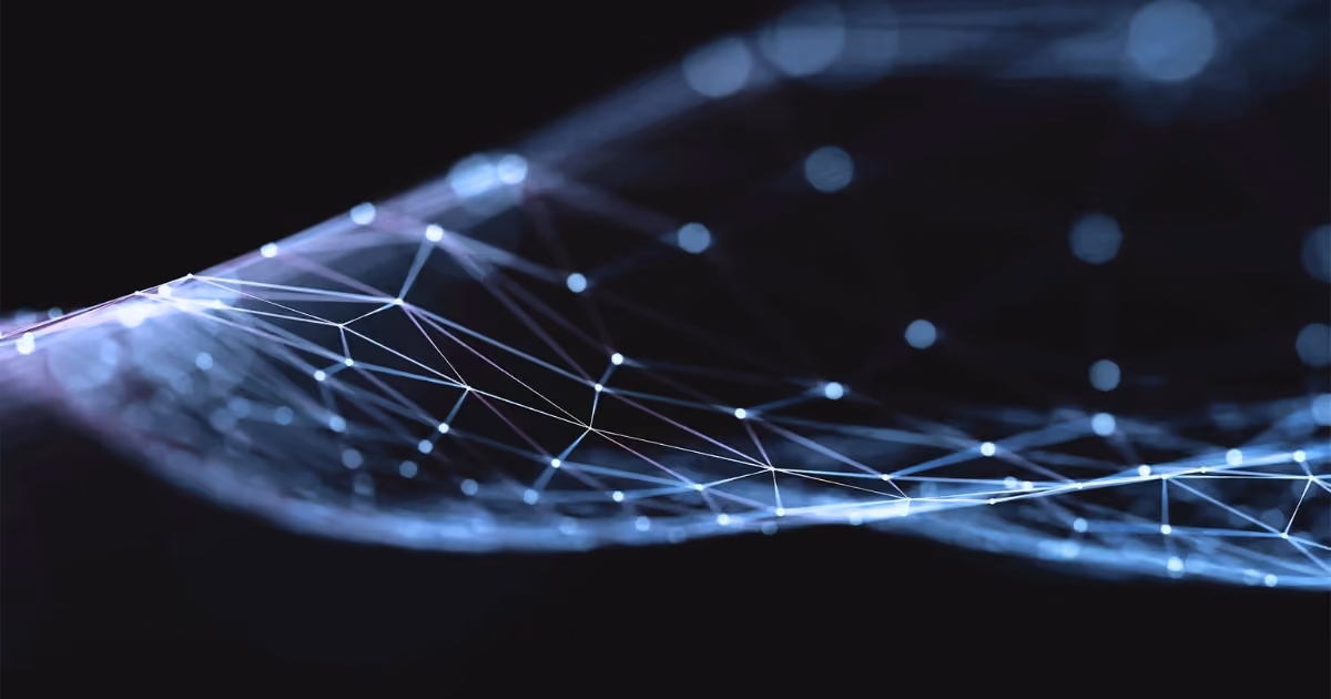 a close-up of a glowing net