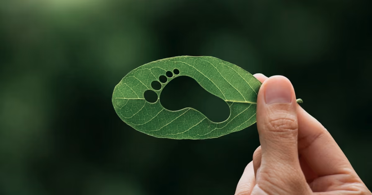 celver AG ESG Reporting