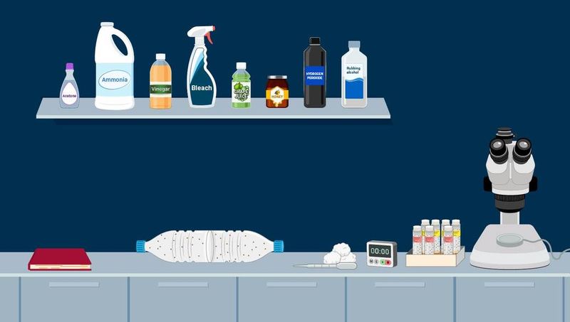 Free Virtual Labs for AP Biology