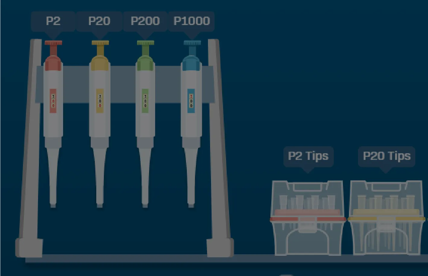 Simulation micropipettes