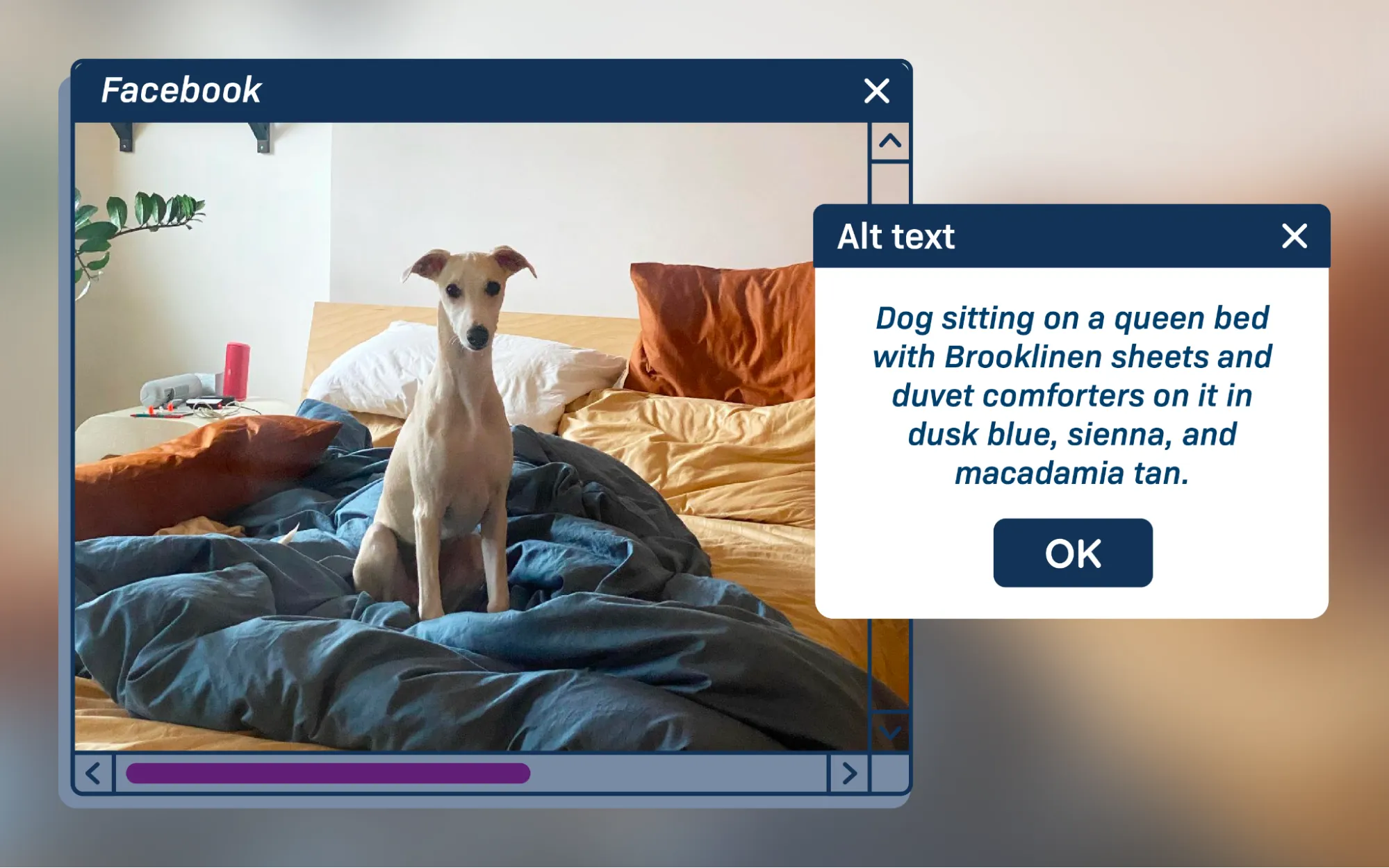 An example of an image with alt text on Facebook. The alt text reads: “Dog sitting on a queen bed with Brooklinen sheets and duvet comforters on it in dusk blue, sienna, and macadamia tan.”