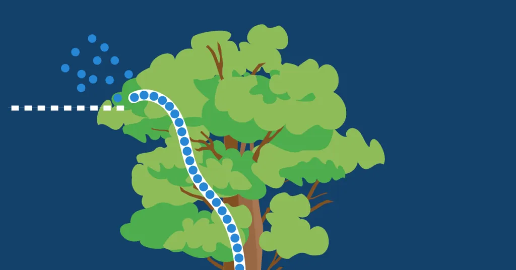 An illustration showing that water flows up the trunk of a tree and transpires into the air through its leaves.