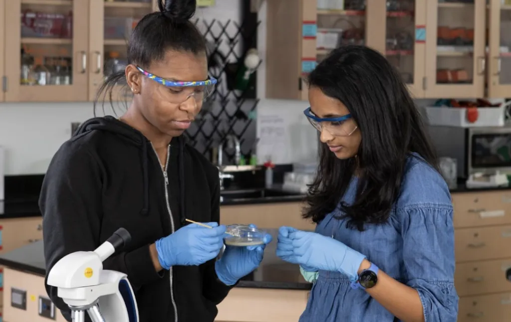 Two scientists, both with long hair, are in a laboratory, standing next to a microscope. They are both wearing protective glasses and gloves. The scientist on the left is holding a Petri dish with agar, and an inoculation loop.|