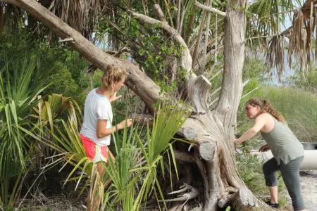 Female students examine a tree.