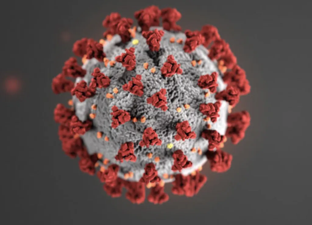 Corona virus