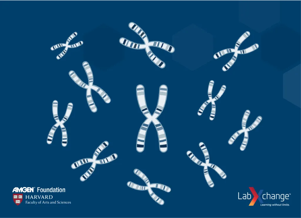 A graphic depiction of the Intro to Gene Editing: CRISPR-Cas9|