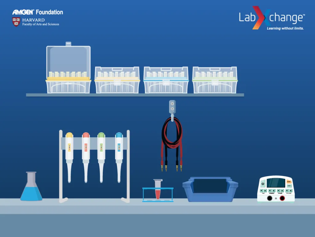Image of the virtual lab for Foundations & Techniques in Biotechnology pathway on LabXchange||